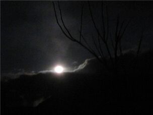 Car in moonlight