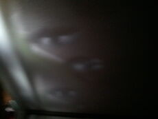 Mypictures 010