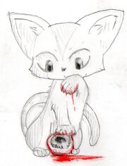 Katze
