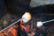 194px-Marshmallow-1-.jpg