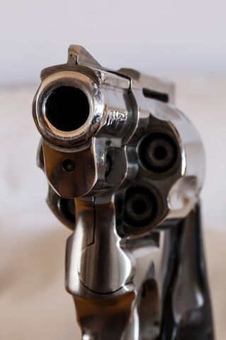 Datei:Firearm-409000 1280.jpg