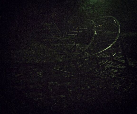 File:Roller coaster by queendreaveev-d6s0yyt.jpg