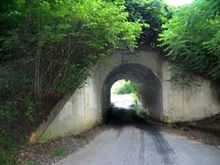 The bunny bridge