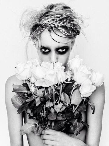 File:Whiteroses.jpg