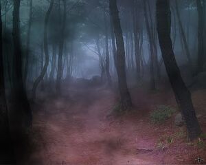 Woods night.jpg