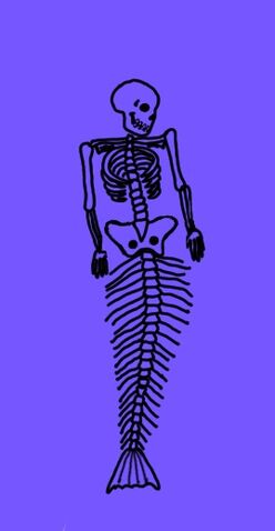 File:Mermaid skeleton.jpg