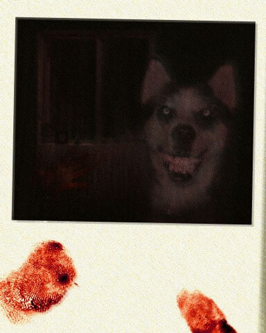 Datei:Smile dog.jpg
