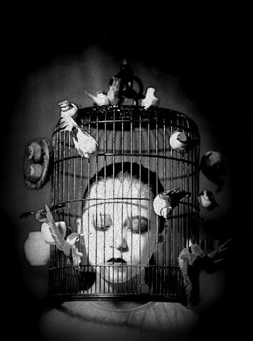 File:BirdCage.jpg