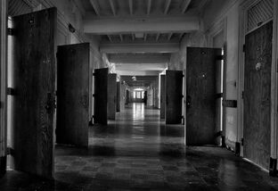 Mental institution