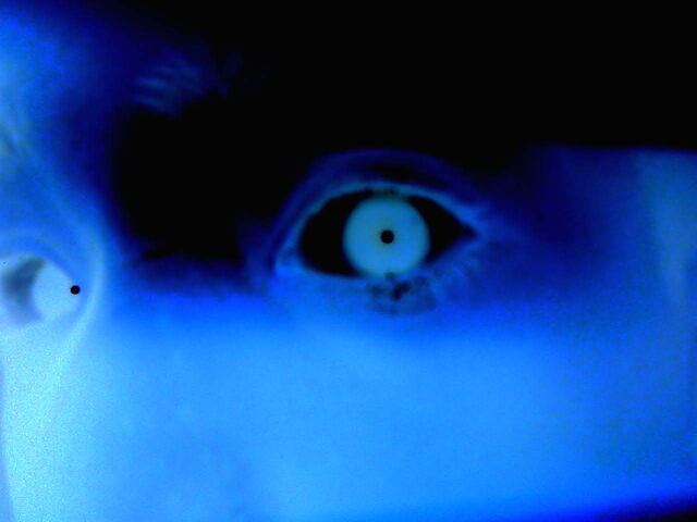 File:Negative Eye.jpg
