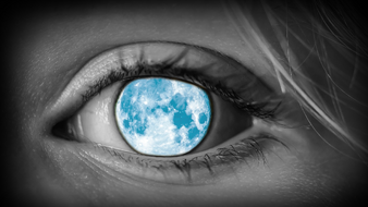 Auge-0