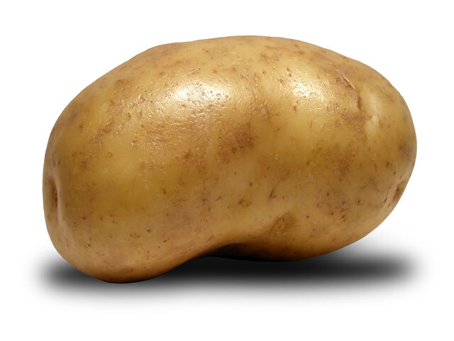 File:Fdhd.jpg