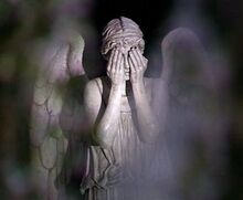 The angel