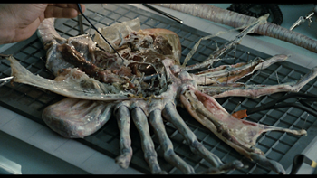 Obduktion Facehugger