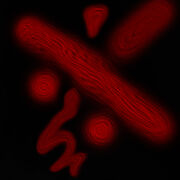 Signultus Sigil