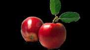 Apple blk