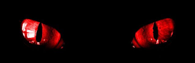 File:FotoFlexer Photo.jpg