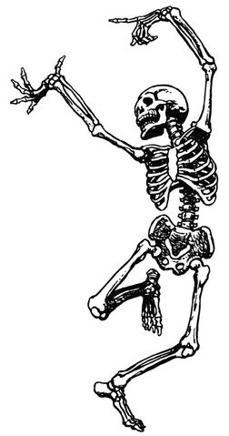 File:Skeleton-clip-art-15.jpg