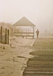 218px-Disappearance-steve-karol.jpg