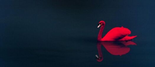 Cropped-Sfondi-desktop-cigno-rosso-wallpapers-free1-650x283