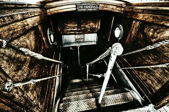 1195oo0.jpg
