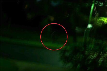 Dark-figure2