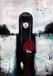 Ladyflowers