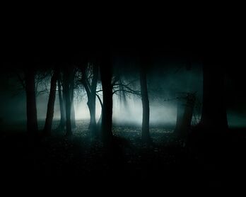 Foresta.jpg