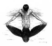 Raven man