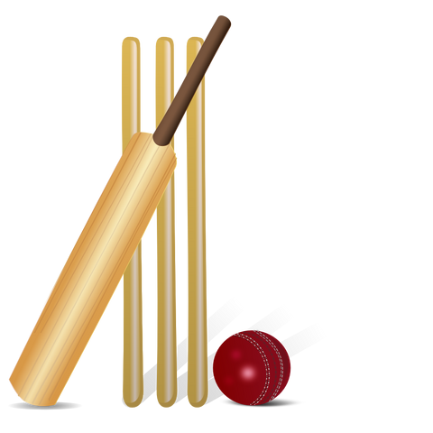 File:Wikia-Visualization-Main,cricketgame.png