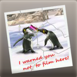 Penguinpicletter