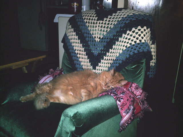File:Garfield.jpg