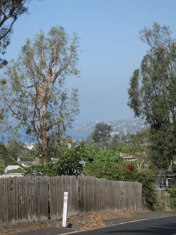 File:IMG 0643.jpg