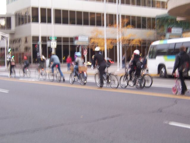File:Critical Mass lineup.jpg
