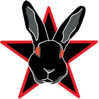 Blackrabbitblack-jaminh2-logo