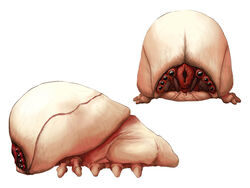 Brain Bug