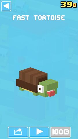 File:Fast Tortoise.jpg