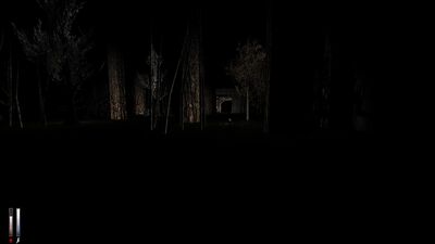 Anotherforest