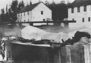 Cadborosaurus October 1937