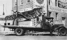 1936haulinhopper lg