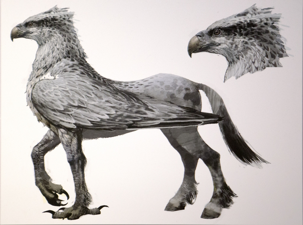 Hippogriff | Cryptid Wiki | FANDOM powered by Wikia