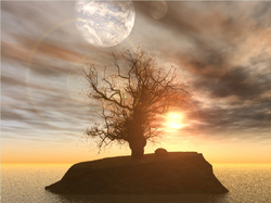 Posible photo of sun moon tree