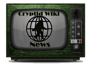 Crypto news