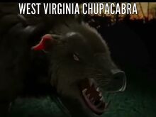 Wvchupey