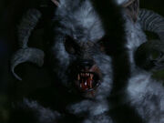 Sheepsquatch---