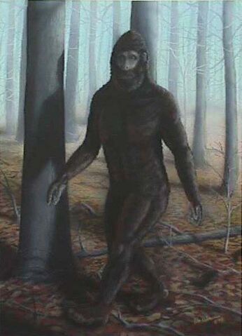File:Bigfoot3.jpg