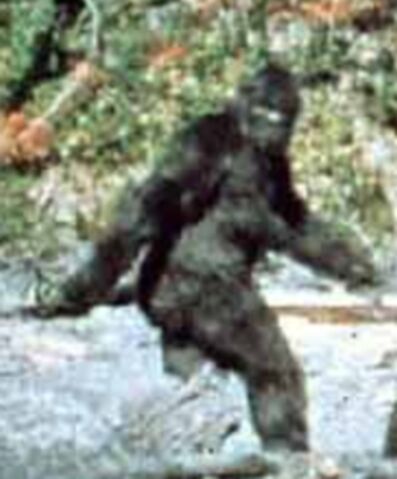 File:Patterson-bigfoot.jpg