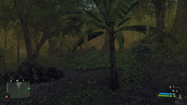 File:Crysis 2012-02-11 21-14-55-09.jpg