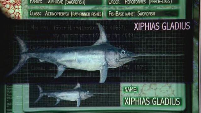 File:Dancing with the Fishes.jpg