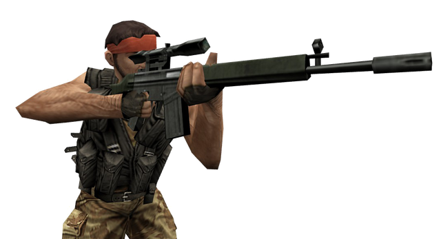 File:P g3sg1 csx.png